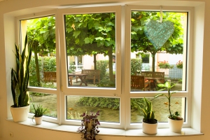 Blick durch ein großes Fenster auf den begrünten Innenhof